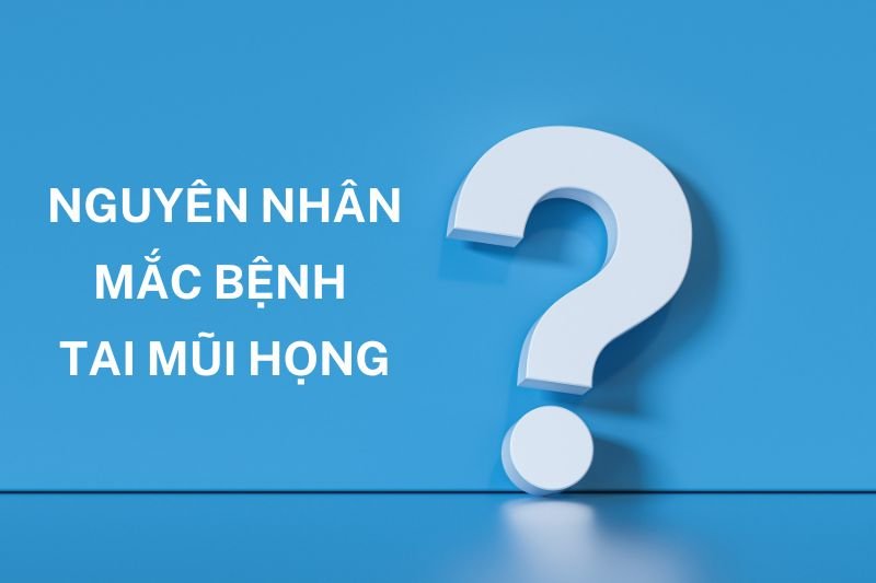 Tại sao chúng ta lại hay mắc phải bệnh tai mũi họng?